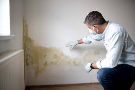 Biohazard Mold Removal in Bonita Springs, FL